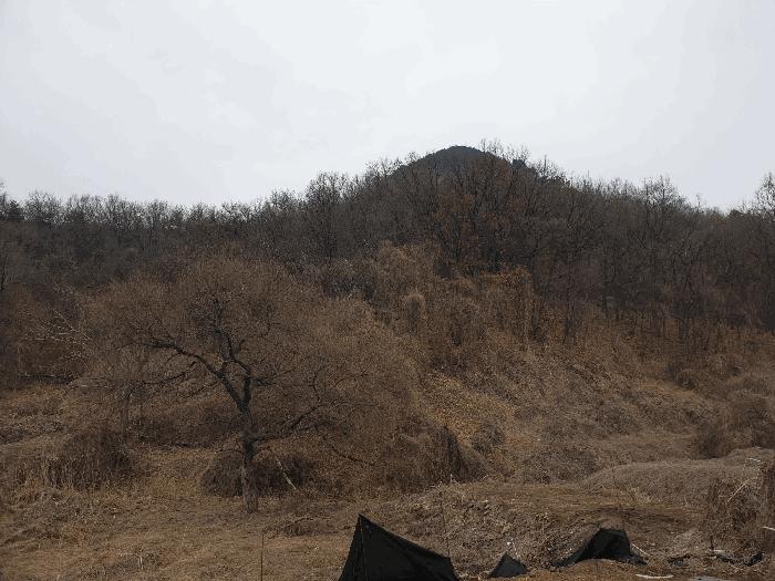인천광역시 강화군 내가면 오상리 산69 임야 경매 사진 4