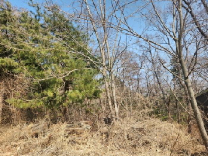 인천광역시 강화군 내가면 오상리 산69 임야 경매 사진 5
