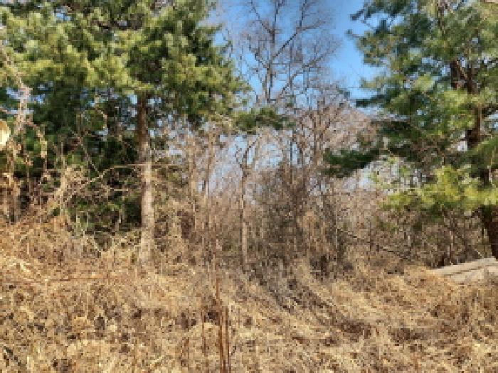 인천광역시 강화군 내가면 오상리 산69 임야 경매 사진 7