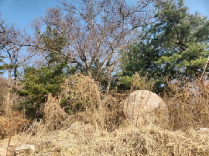인천광역시 강화군 내가면 오상리 산69 임야 경매 사진 8