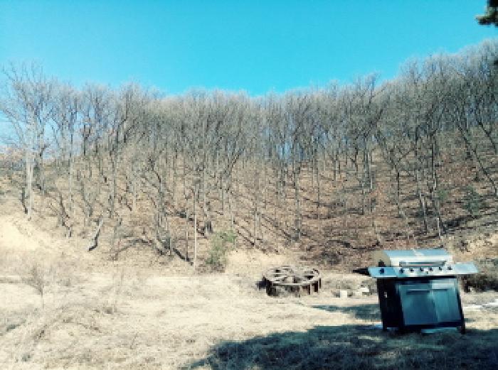 경기도 안성시 원곡면 지문리 304-10 주택 경매 사진 20