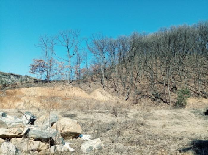 경기도 안성시 원곡면 지문리 304-10 주택 경매 사진 23
