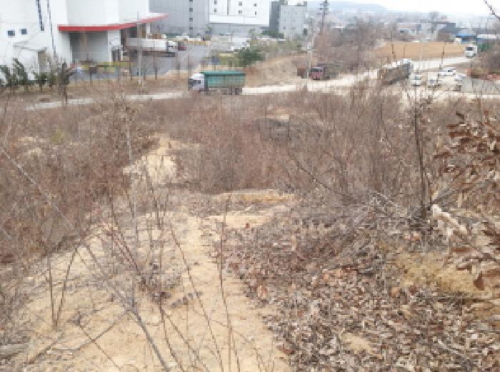 경기도 평택시 청북읍 고렴리 산48-3 임야 경매 사진 14