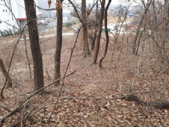 경기도 평택시 청북읍 고렴리 산48-3 임야 경매 사진 6