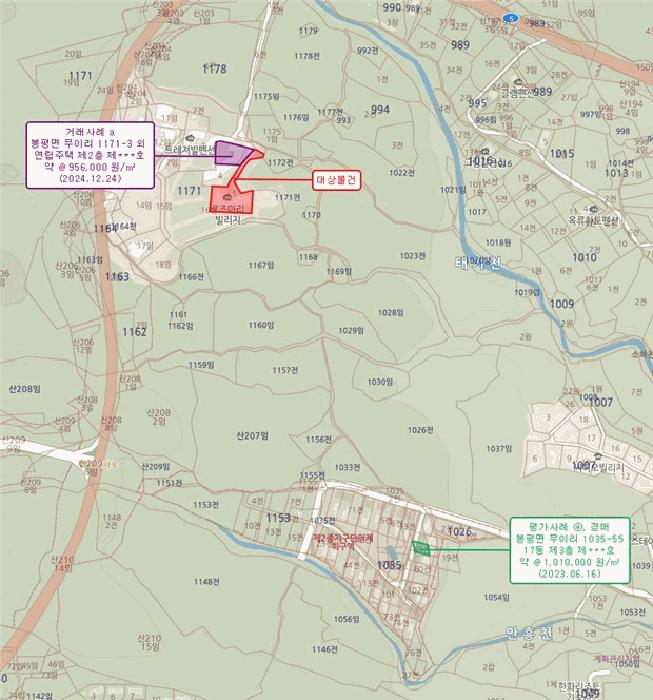 강원특별자치도 평창군 봉평면 무이리 1171-5 1층101호 다세대(빌라) 경매 사진 5