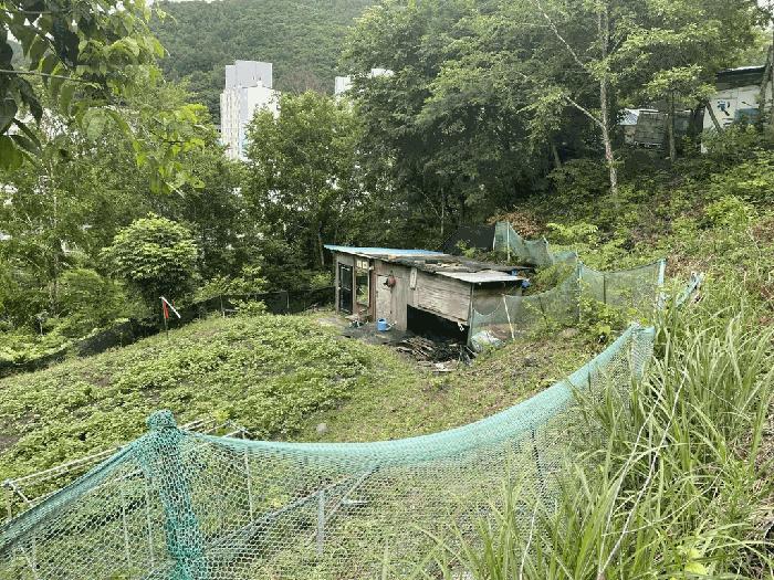 강원특별자치도 정선군 사북읍 사북리 산153-34 임야 경매 사진 1