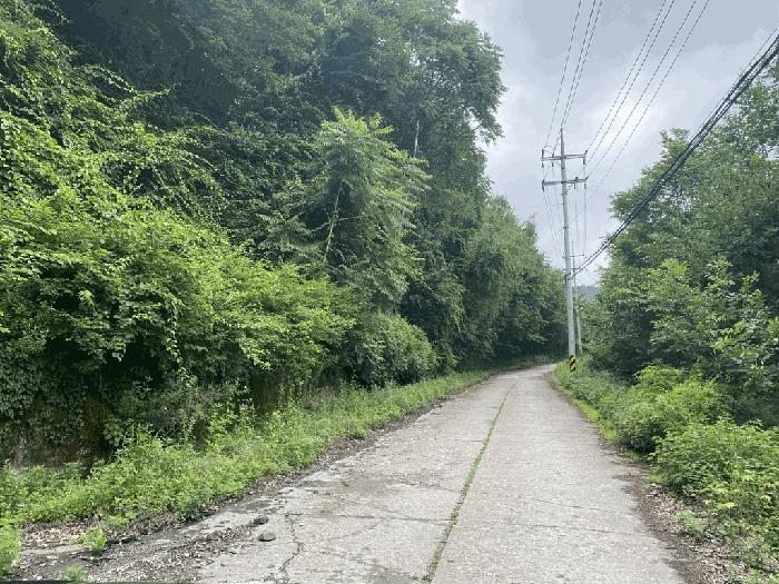 강원특별자치도 정선군 사북읍 사북리 산153-34 임야 경매 사진 3