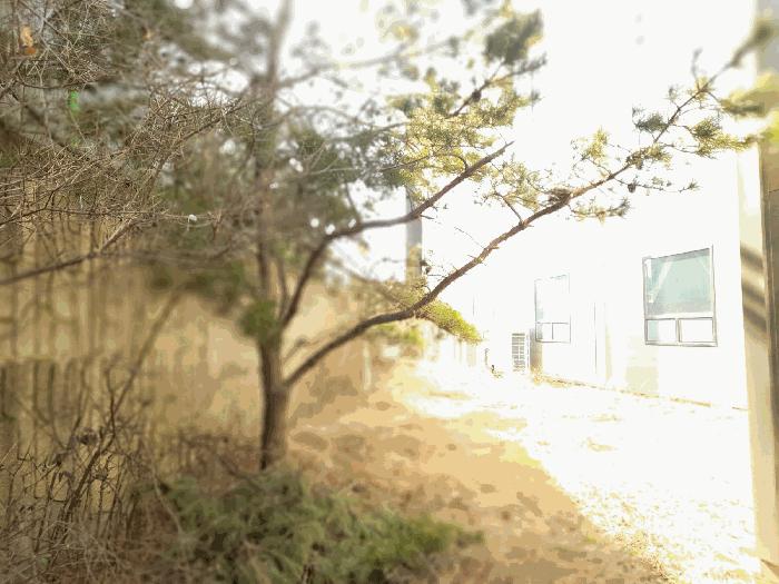 경기도 평택시 청북읍 삼계리 402-7 공장 경매 사진 14