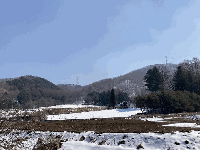 강원특별자치도 평창군 봉평면 진조리 산187 임야 경매 사진 2