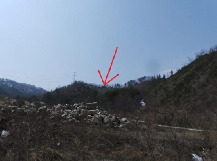 강원특별자치도 평창군 봉평면 진조리 산187 임야 경매 사진 3
