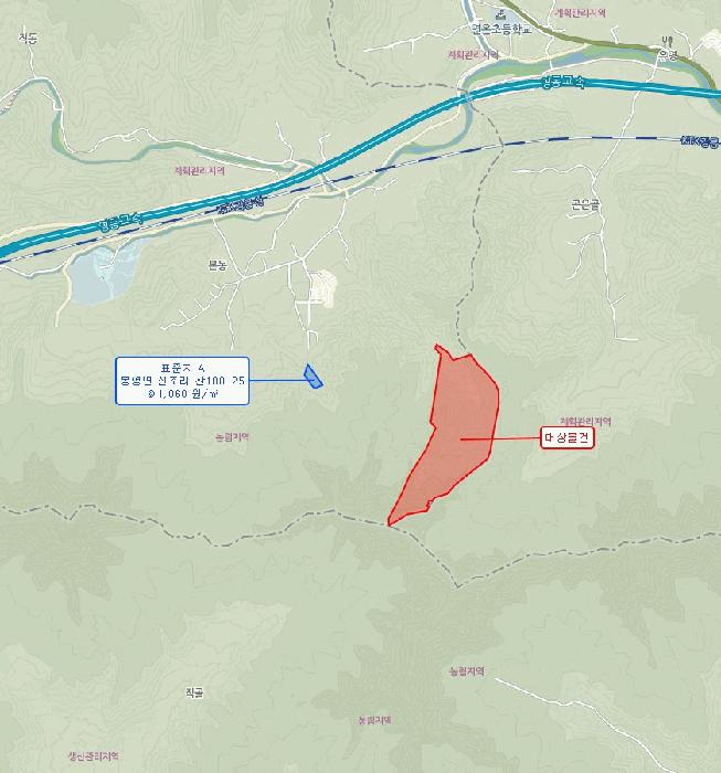 강원특별자치도 평창군 봉평면 진조리 산187 임야 경매 사진 5