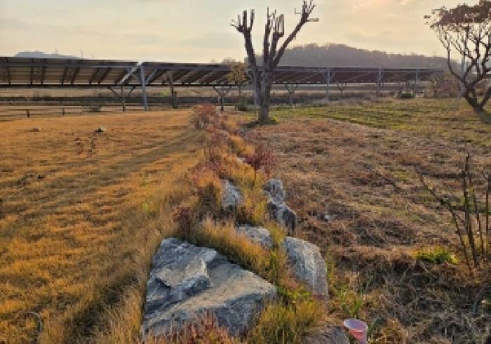 충청남도 아산시 신창면 오목리 307-12 창고 경매 사진 23