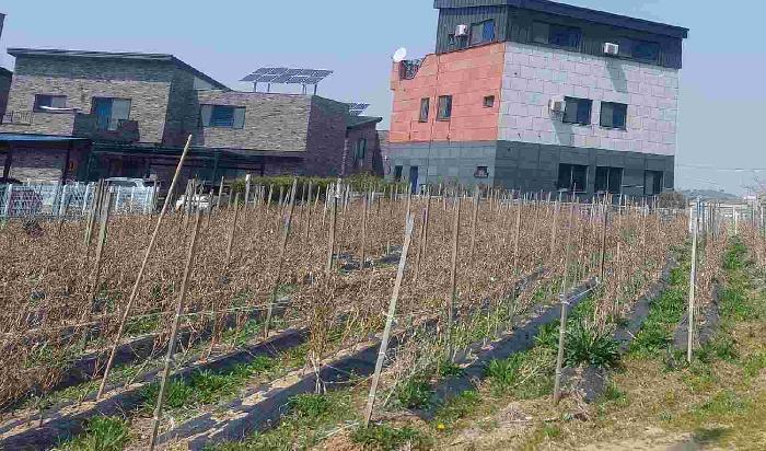 충청남도 아산시 둔포면 신남리 381-11 전 경매 사진 14