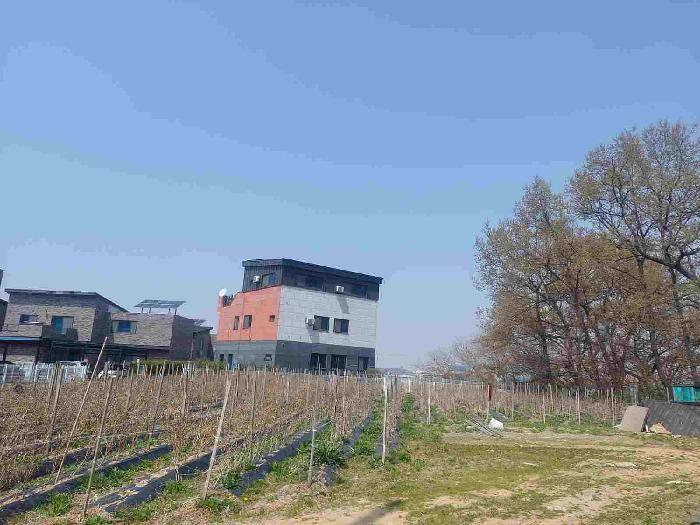 충청남도 아산시 둔포면 신남리 381-11 전 경매 사진 4