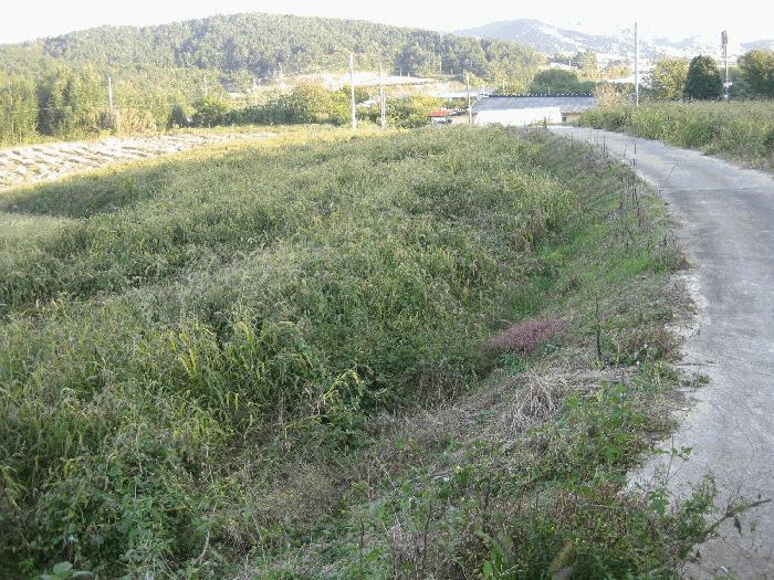 전남광주통합특별시 영광군 전
