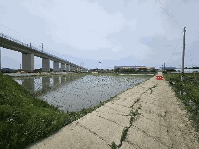 충청남도 아산시 둔포면 운용리 214-1 답 경매 사진 3