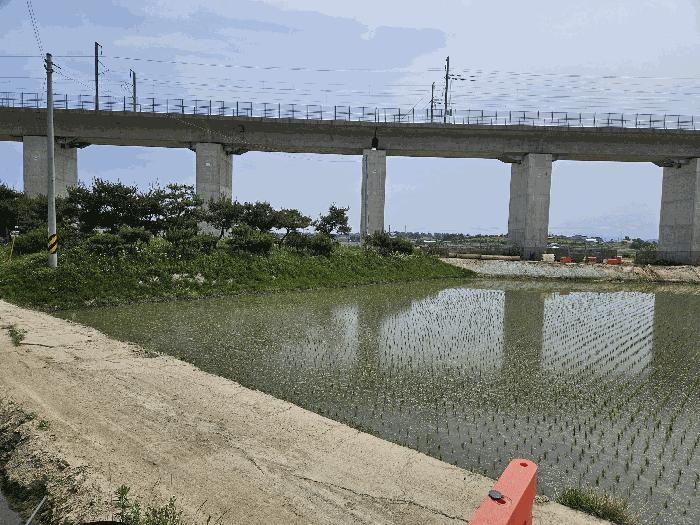 충청남도 아산시 둔포면 운용리 214-1 답 경매 사진 4