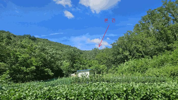 경상북도 영천시 임고면 삼매리 산58 임야 경매 사진 2