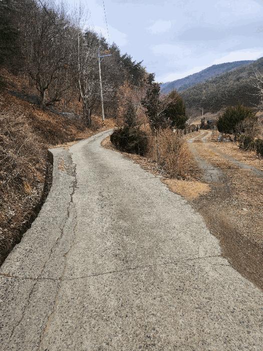 부산광역시 기장군 일광읍 용천리 산55-2 임야 경매 사진 3