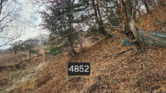 부산광역시 기장군 일광읍 용천리 산55-2 임야 경매 사진 7
