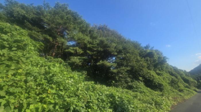 울산 울주군 임야