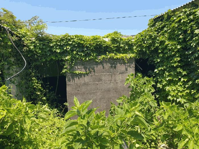 제주특별자치도 제주시 화북일동 4027-1 대지 경매 사진 11