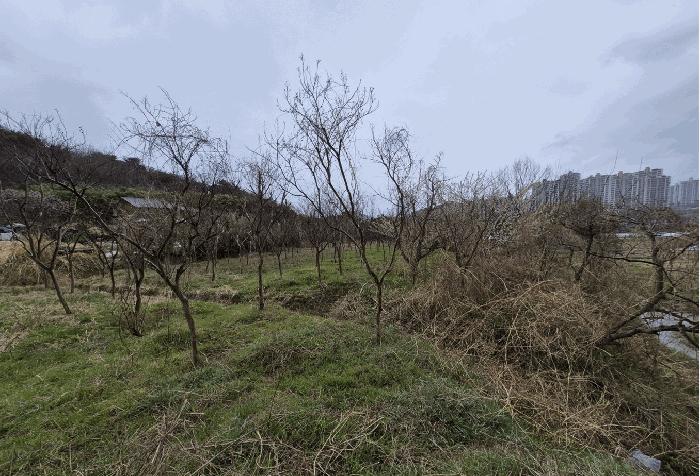 울산광역시 북구 달천동 65-3 전 경매 사진 5