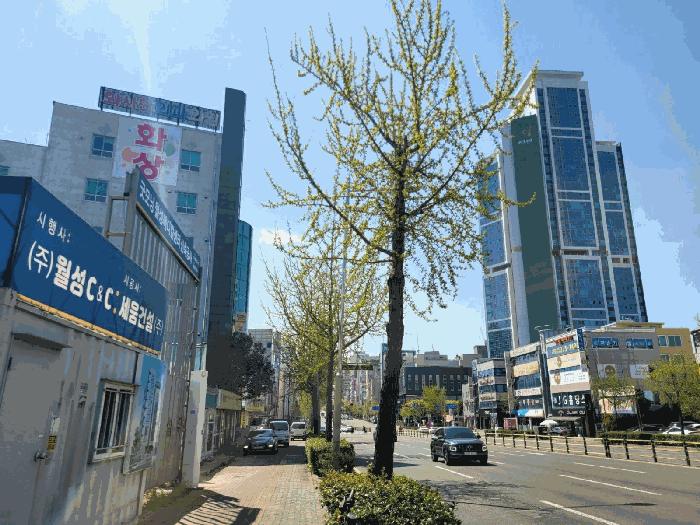 울산광역시 남구 달동 1412 삼환아르누보 22층2205호 아파트 경매 사진 3