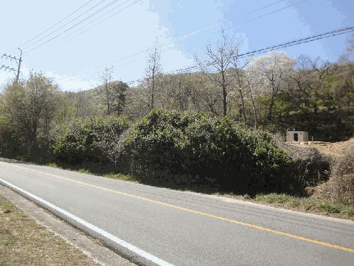 경상남도 양산시 상북면 내석리 255-2 답 경매 사진 2