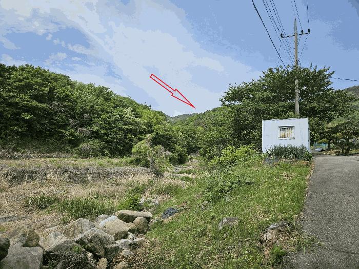 울산 울주군 임야