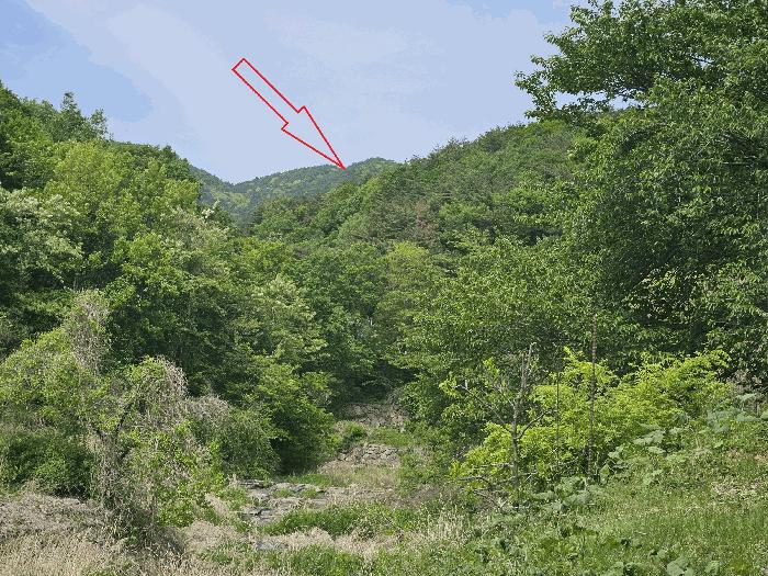 울산광역시 울주군 웅촌면 은현리 산153-2 임야 경매 사진 4
