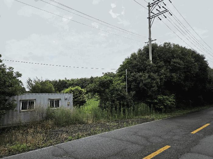 제주 서귀포시 과수원