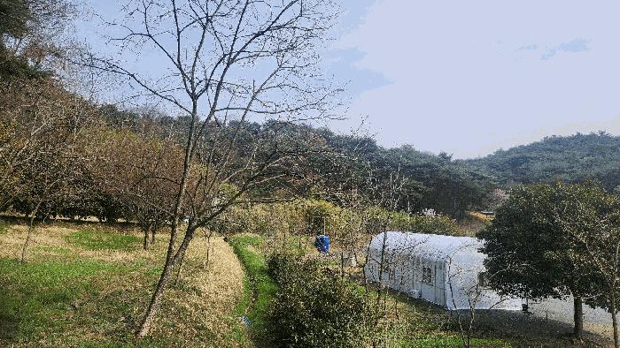 울산광역시 울주군 상북면 지내리 118 답 경매 사진 2