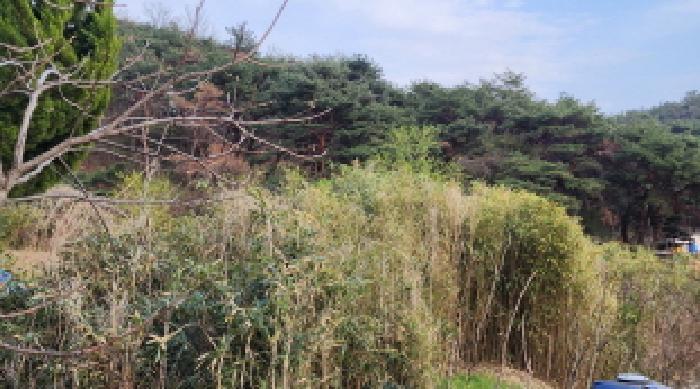 울산광역시 울주군 상북면 지내리 118 답 경매 사진 3