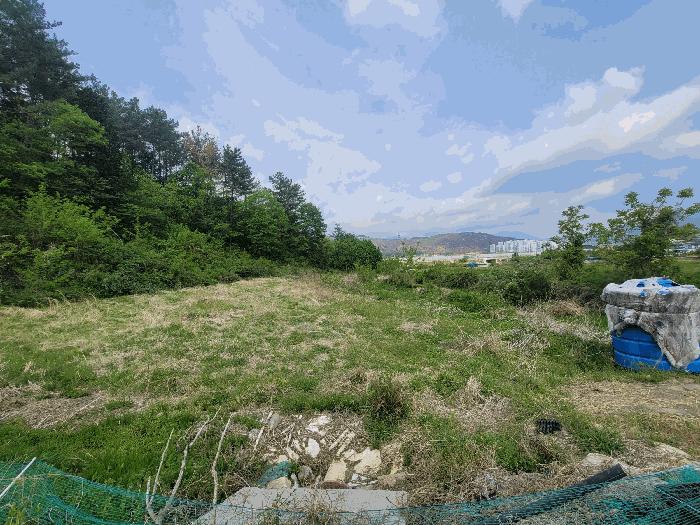 울산광역시 울주군 언양읍 직동리 264 전 경매 사진 2