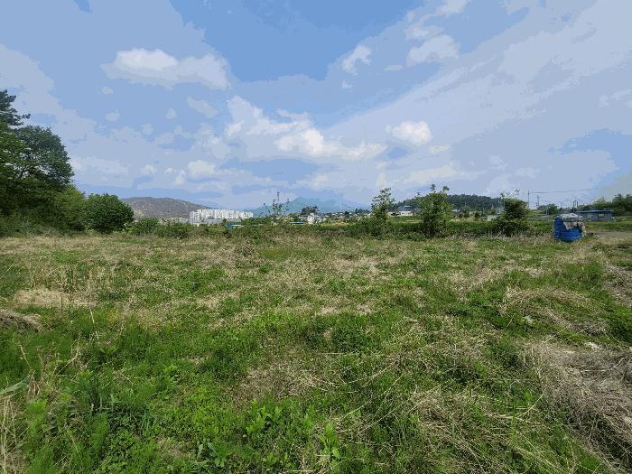 울산광역시 울주군 언양읍 직동리 264 전 경매 사진 3