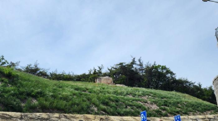 경상남도 양산시 하북면 초산리 455-21 임야 경매 사진 3