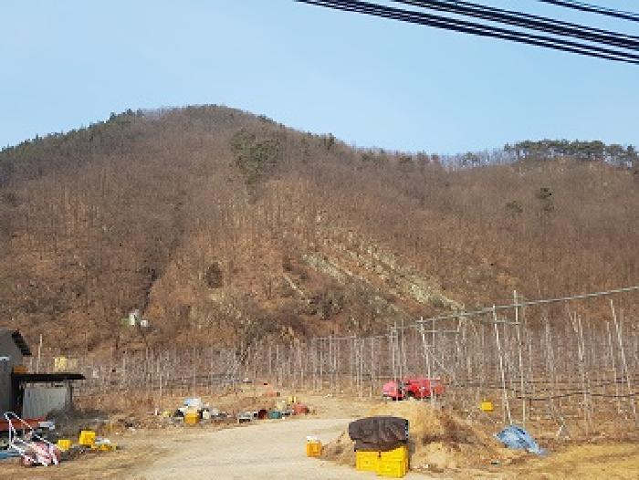 경상북도 청송군 파천면 옹점리 산76-1 임야 경매 사진 1
