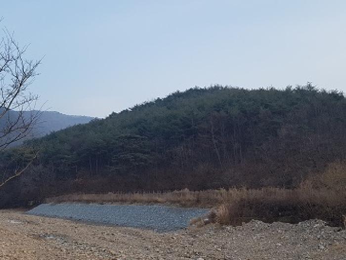 경상북도 청송군 파천면 옹점리 산76-1 임야 경매 사진 11