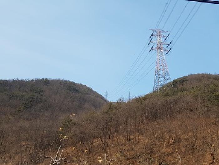 경상북도 청송군 파천면 옹점리 산76-1 임야 경매 사진 5