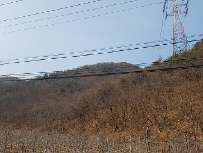 경상북도 청송군 파천면 옹점리 산76-1 임야 경매 사진 6