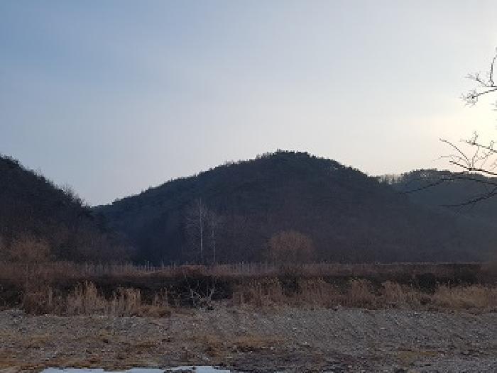 경상북도 청송군 파천면 옹점리 산76-1 임야 경매 사진 7
