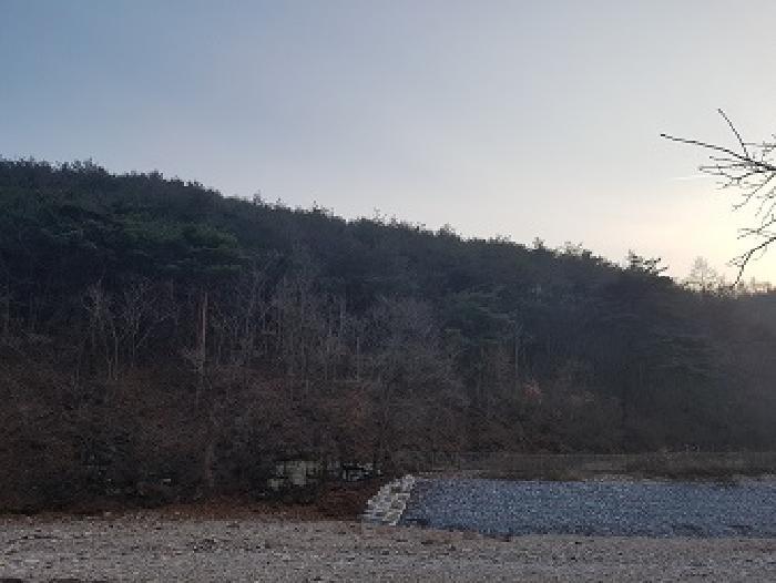 경상북도 청송군 파천면 옹점리 산76-1 임야 경매 사진 8