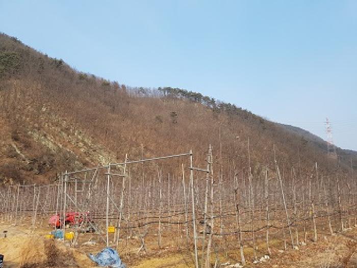 경상북도 청송군 파천면 옹점리 산77 임야 경매 사진 2
