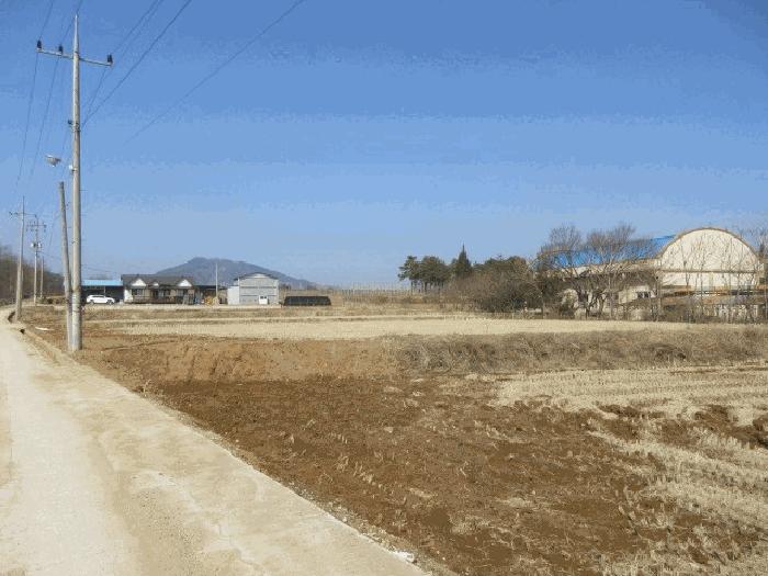 경상북도 청송군 진보면 이촌리 597-3 답 경매 사진 2