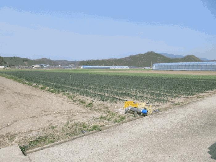 대구광역시 군위군 의흥면 수서리 423-2 과수원 경매 사진 1