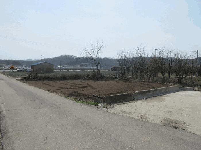 대구광역시 군위군 의흥면 수서리 423-2 과수원 경매 사진 4