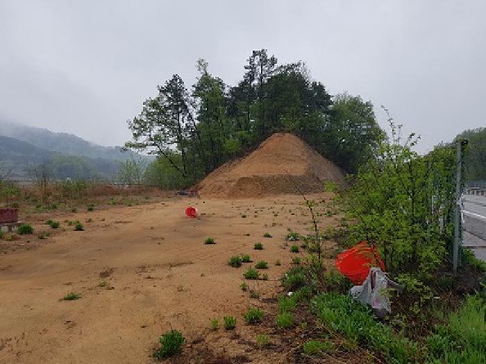 경상북도 의성군 단밀면 낙정리 806-207 임야 경매 사진 6