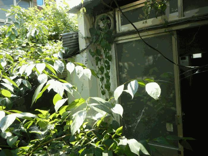 대구광역시 중구 남산동 2426-11 주택 경매 사진 4