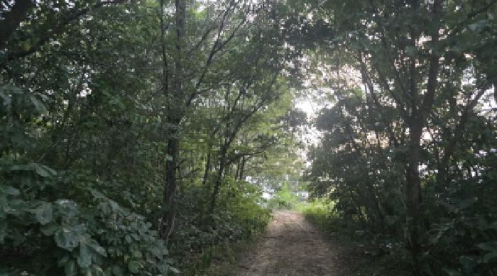 경상북도 칠곡군 북삼읍 오평리 88 전 경매 사진 17